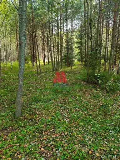 Участок, 27 сот.