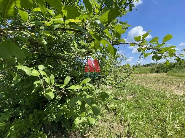 Участок, 10 сот.