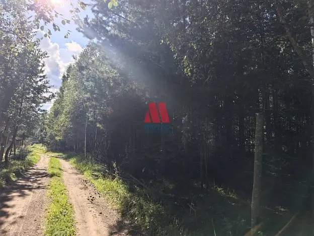Участок, 27 сот.