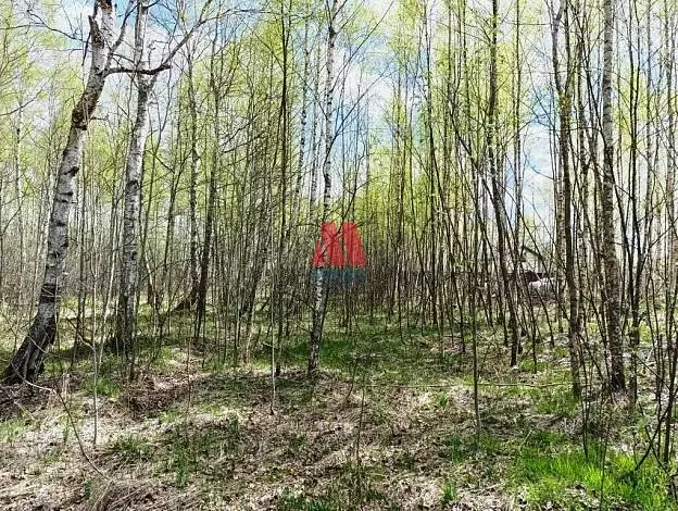 Участок, 17 сот.