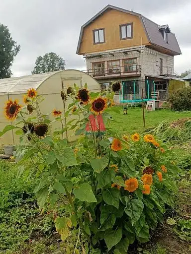 Дом, 131 м², 13 сот., 2 этажа