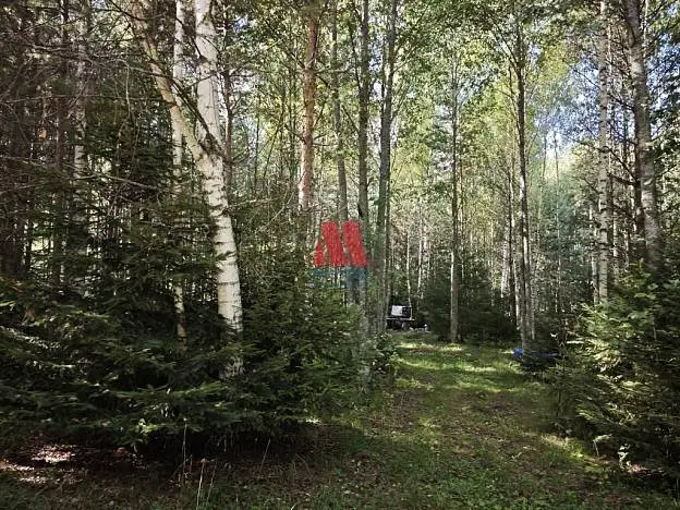 Участок, 27 сот.