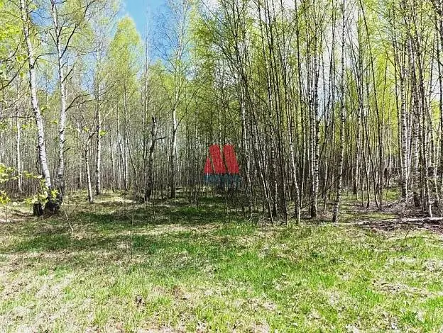 Участок, 17 сот.