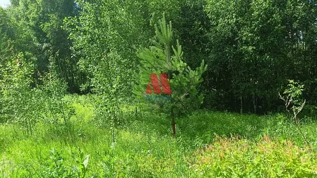 Участок, 6 сот.