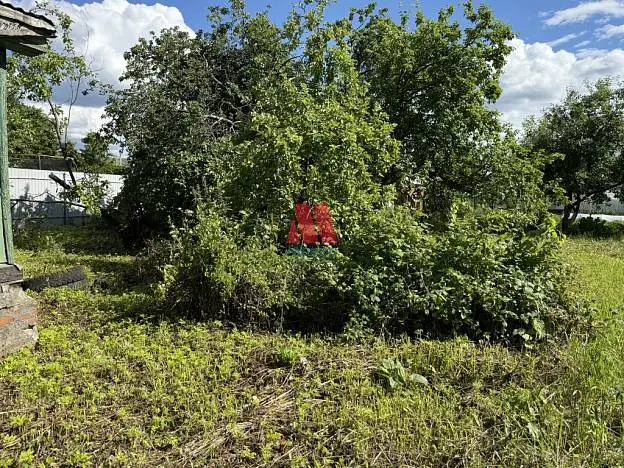 Дом, 46 м², 8 сот., 1 этаж