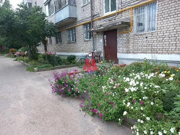 1-комн. квартира, 31,3 м², 4/5 этаж