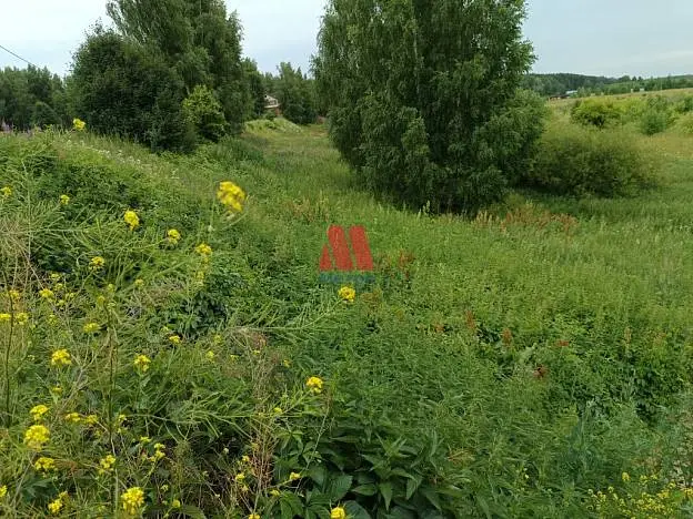 Участок, 11 сот.