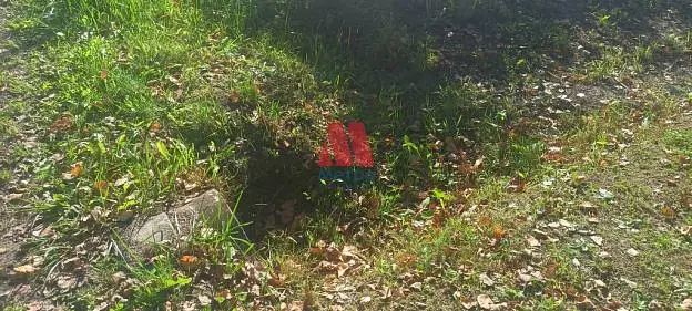 Участок, 17 сот.