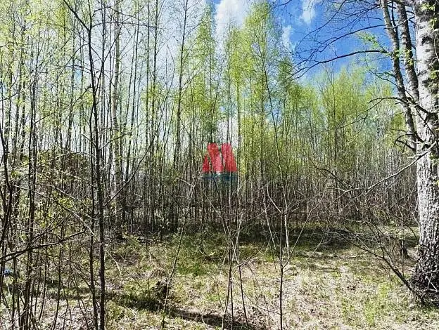 Участок, 17 сот.