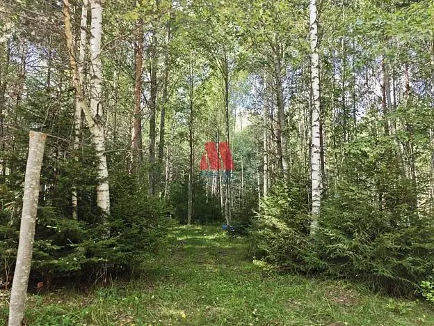 Участок, 27 сот.