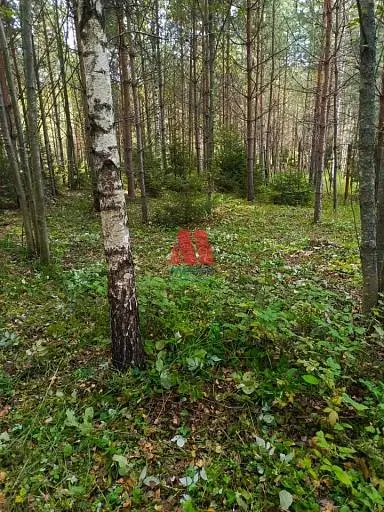 Участок, 27 сот.