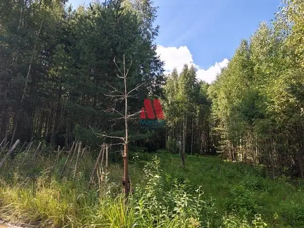 Участок, 27 сот.