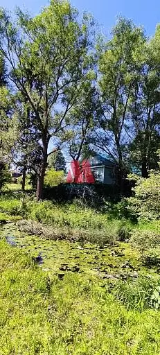 Дом, 50,5 м², 12 сот., 1 этаж