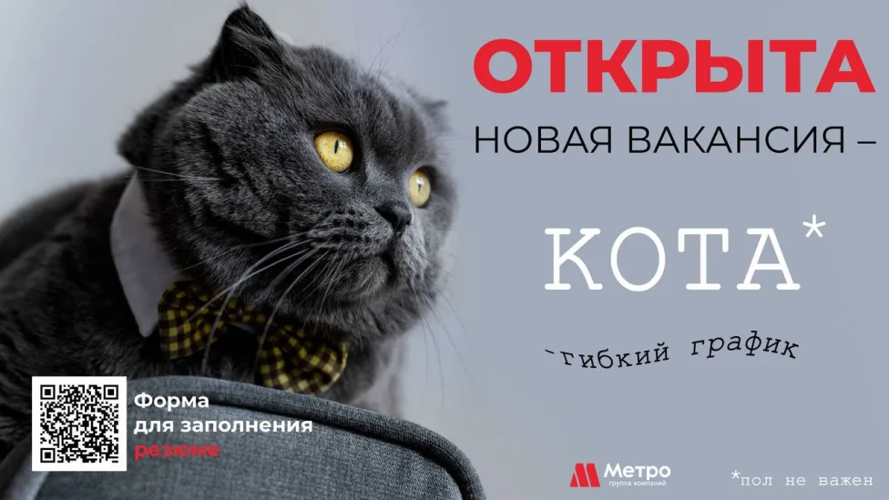 Новая вакансия