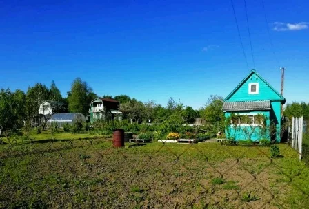 Что лучше, дом в деревне или дачный участок в садоводческом товариществе