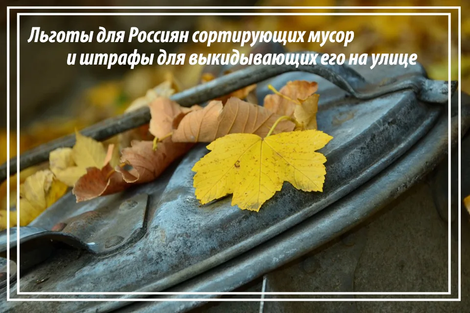 Специалист по продажам земельных участков и домов